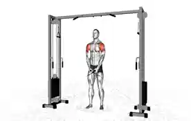 绳索侧平举(Cable Lateral Raise)正确姿势 绳索侧平举