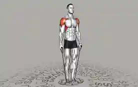 弹力带侧平举(Band Lateral Raise)正确姿势 弹力带侧平举