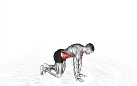 跪姿背部旋转拉伸(Kneeling Back Rotation Stretch)正确姿势 跪姿背部旋转拉伸