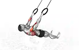 窄握环上水平引体向上(Narrow Grip Australian Pull-Up With Rings)正确姿势 窄握环上水平引体向上