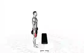 哑铃台阶上步(Dumbbell Step-Up)正确姿势 哑铃台阶上步