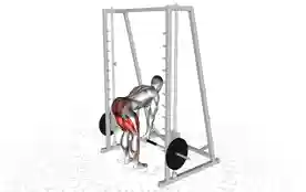 史密斯罗马尼亚硬拉（Smith Romanian Deadlift）正确姿势
