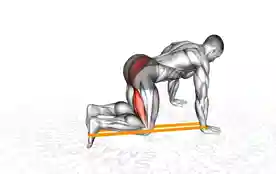 跪姿弹力带臀部后踢(Kneeling Resistance Band Glute Kickback)正确姿势 跪姿弹力带臀部后踢