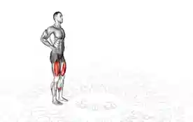 行走弓步蹲