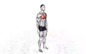 站立式胸部打开器(Standing Chest Opener)正确姿势 站立式胸部打开器