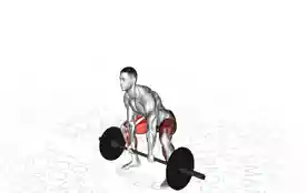 相扑硬拉（Sumo Deadlift）正确姿势