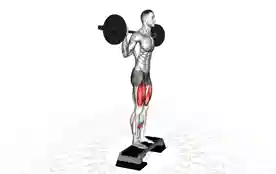 杠铃台阶后弓步(Barbell Rear Lunge On Step)正确姿势 杠铃台阶后弓步