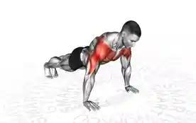 负重俯卧撑（Negative Push-Up）正确姿势