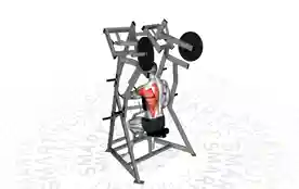单臂胸部支撑划船机(One-Arm Chest Supported Row Machine)正确姿势 单臂胸部支撑划船机