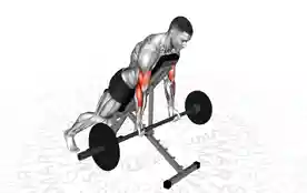 杠铃俯卧斜板弯举（Barbell Prone Incline Curl）正确姿势